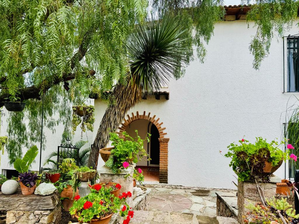 La Casa Grande